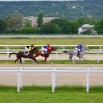 競馬には様々な楽しみ方があります