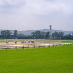 競馬で勝てる方法が考えられるか