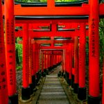 神社についてもう少し知っておく